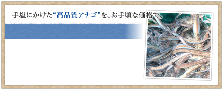 韓国産の美味しい真穴子”をお届けするのが、新光の仕事です。